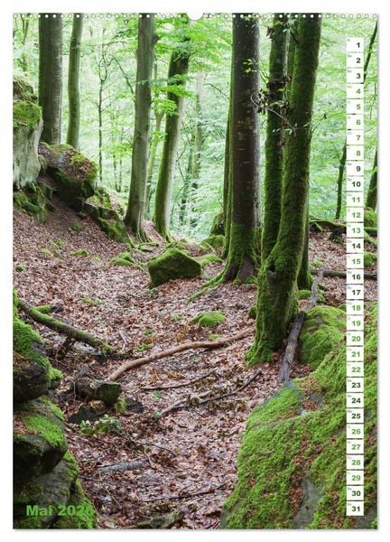 Produktbild: EIFEL - Kraftorte Wald und Wasser (hochwertiger Premium Wandkalender 2026 DIN A2 hoch), Kunstdruck in Hochglanz