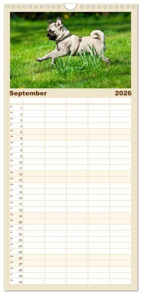 Produktbild: Familienplaner 2026 - Mops mit 5 Spalten (Wandkalender, 21 x 45 cm) CALVENDO