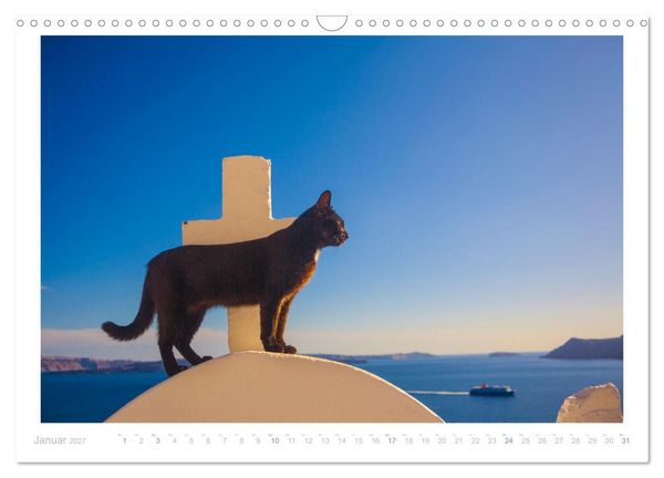 Produktbild: Inselkatzen (Wandkalender 2027 DIN A3 quer), CALVENDO Monatskalender