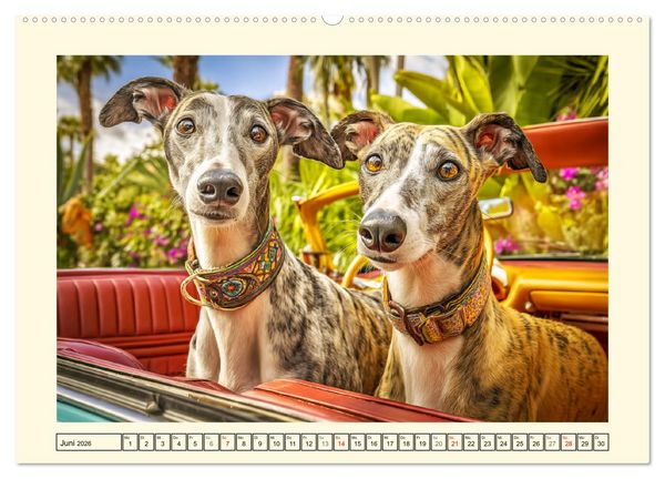 Produktbild: Whippet Wunder. Grazile Hunde mit sanfter Kraft und feiner Seele (Wandkalender 2026 DIN A2 quer), CALVENDO Monatskalender