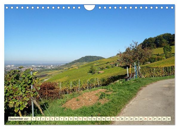 Produktbild: Bensheim an der Bergstra&szlig;e Mandelbl&uuml;te, Wein und Fachwerk (Wandkalender 2027 DIN A4 quer), CALVENDO Monatskalender