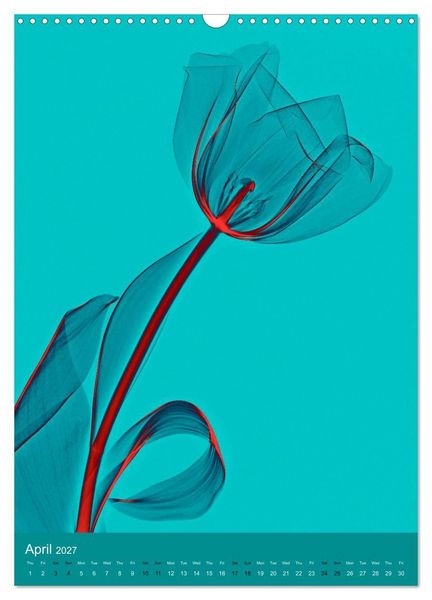 Produktbild: Blossoms between light and colour (Wall Calendar 2027 DIN A3 portrait), CALVENDO 12 Month Wall Calendar