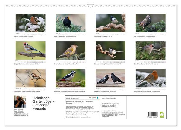 Produktbild: Heimische Gartenv&ouml;gel - Gefiederte Freunde (Wandkalender 2026 DIN A2 quer), CALVENDO Monatskalender