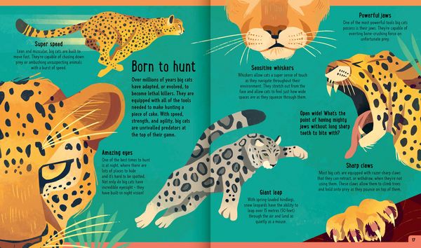 Produktbild: Big Cats (A Day in the Life)