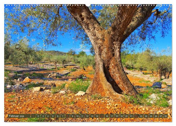 Produktbild: Costa del Azahar - K&uuml;ste der Orangenbl&uuml;te (Wandkalender 2026 DIN A2 quer), CALVENDO Monatskalender