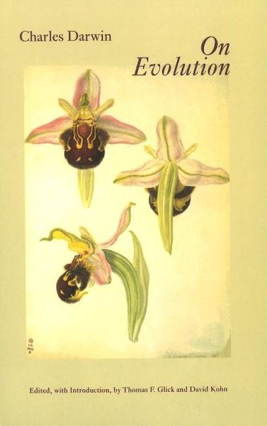 Produktbild: Glick, T: Darwin