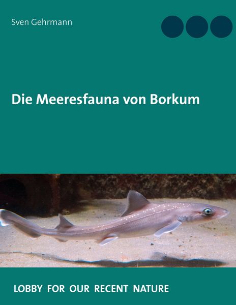Produktbild: Die Meeresfauna von Borkum