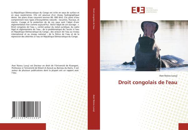 Produktbild: Droit congolais de l'eau