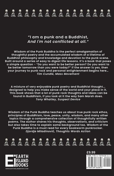 Produktbild: Wisdom of the Punk Buddha
