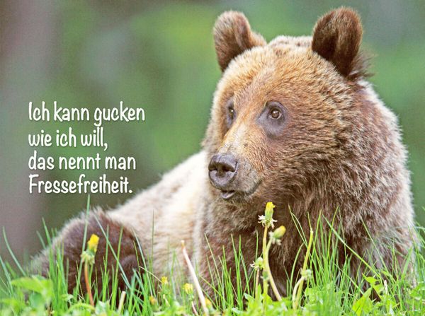 Produktbild: CALVENDO Puzzle Freche Spr&uuml;che zum t&auml;glichen Wahnsinn im Job | 2000 Teile Lege-Gr&ouml;&szlig;e 90x67cm Foto-Puzzle f&uuml;r gl&uuml;ckliche Stunden