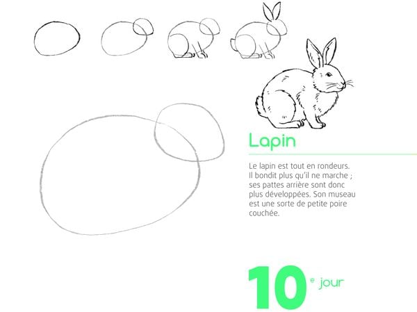 Produktbild: 365 Zeichenmotive f&uuml;r jeden Tag
