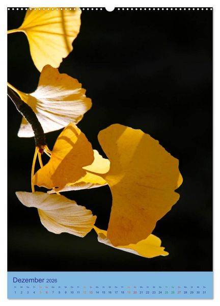 Produktbild: Ginkgo (hochwertiger Premium Wandkalender 2026 DIN A2 hoch), Kunstdruck in Hochglanz