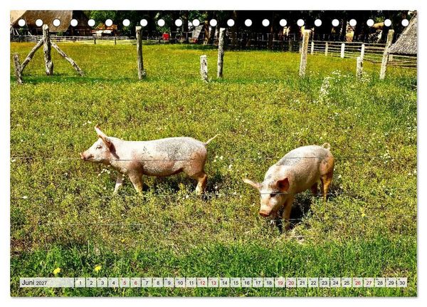 Produktbild: Fischland: zwischen Ostsee und Bodden (Tischkalender 2027 DIN A5 quer), CALVENDO Monatskalender