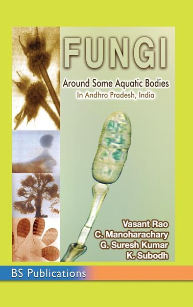 Produktbild: Fungi