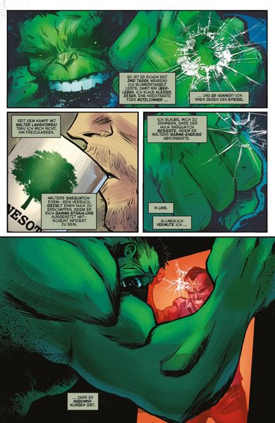 Produktbild: Bruce Banner: Hulk