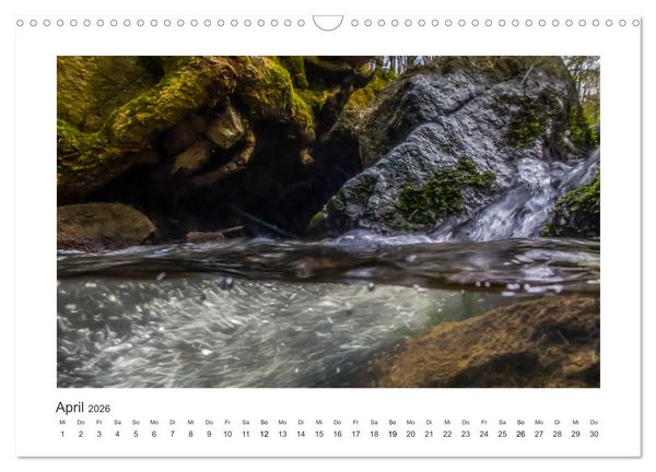 Produktbild: Unter Wasser in B&auml;chen und Fl&uuml;ssen (Wandkalender 2026 DIN A3 quer), CALVENDO Monatskalender