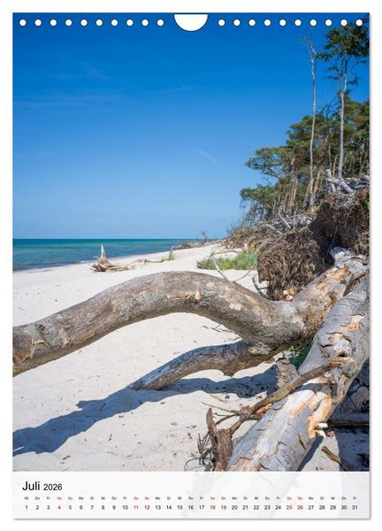 Produktbild: Fischland-Dar&szlig;-Zingst - Im Licht des Nordens (Wandkalender 2026 DIN A4 hoch), CALVENDO Monatskalender