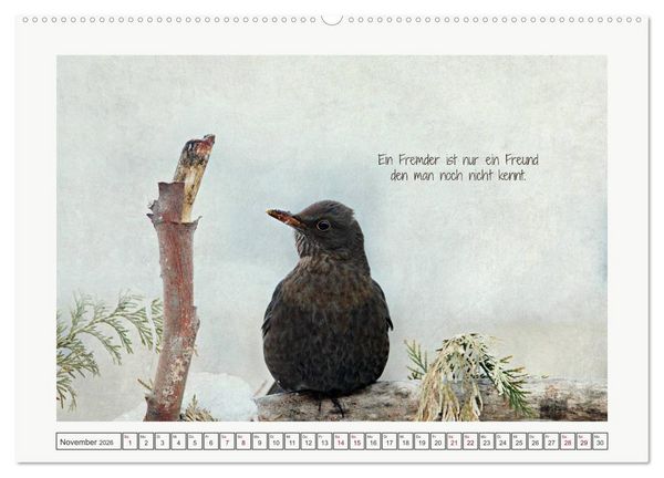 Produktbild: Irische Segensw&uuml;nsche (Wandkalender 2026 DIN A2 quer), CALVENDO Monatskalender