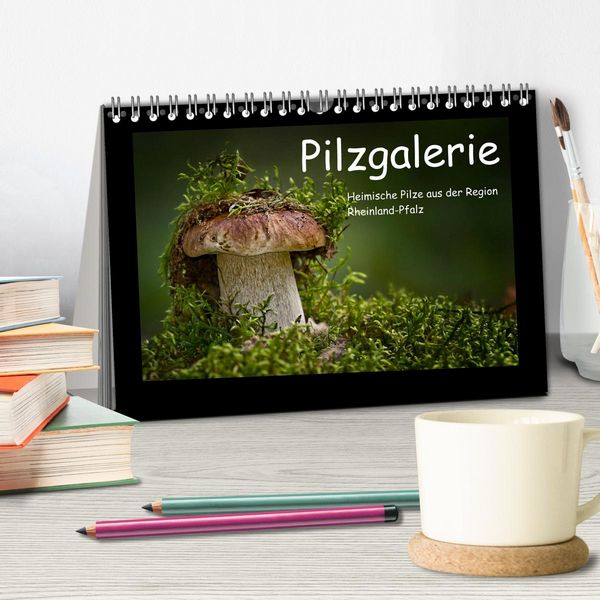 Produktbild: Pilzgalerie - Heimische Pilze aus der Region Rheinland-Pfalz (Tischkalender 2026 DIN A5 quer), CALVENDO Monatskalender