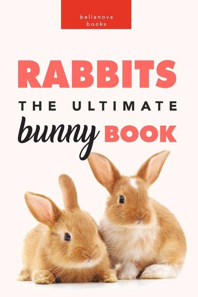 Produktbild: Rabbits