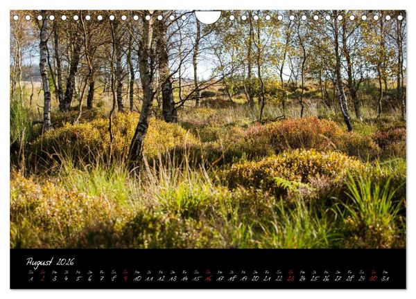 Produktbild: Hochmoor Hohes Venn (Wandkalender 2026 DIN A4 quer), CALVENDO Monatskalender