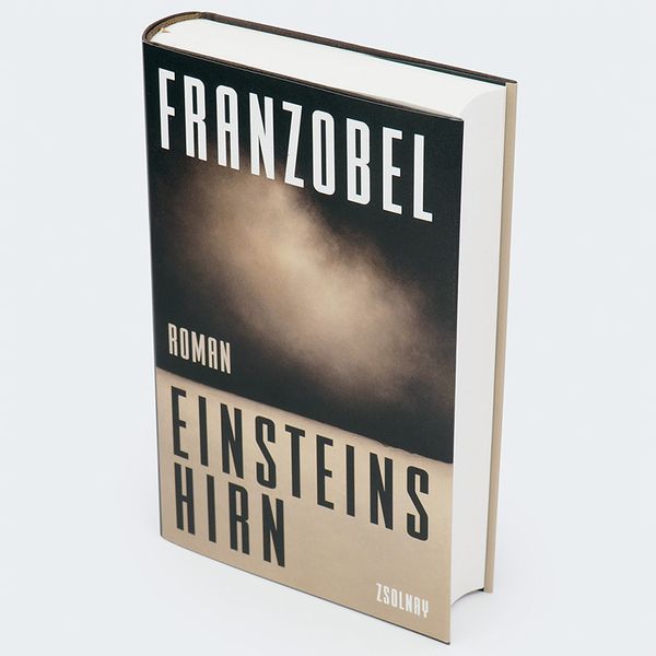 Produktbild: Einsteins Hirn