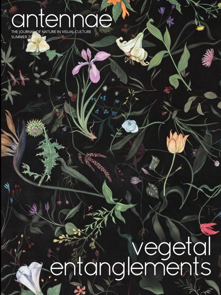 Produktbild: Antennae #51 Vegetal Entanglements #1
