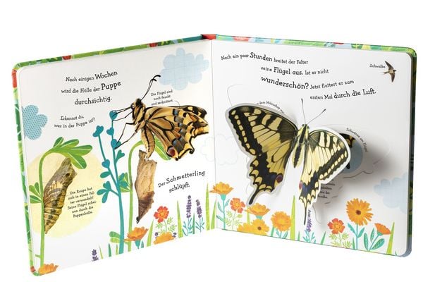 Produktbild: Wie wird die Raupe zum Schmetterling?