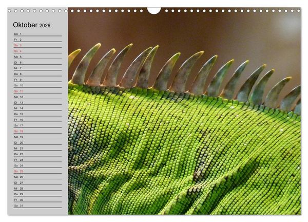 Produktbild: Kaltes Blut. Faszination Reptilien (Wandkalender 2026 DIN A3 quer), CALVENDO Monatskalender