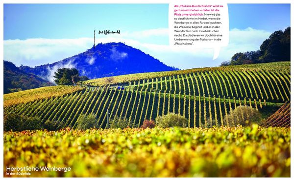 Produktbild: Storiez Lifestyle & Home Pfalz