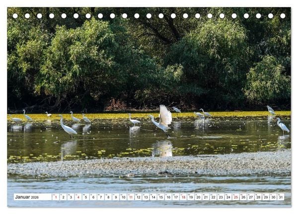 Produktbild: Rund um das Donaudelta (Tischkalender 2026 DIN A5 quer), CALVENDO Monatskalender
