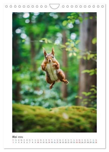 Produktbild: Lustige kleine Eichh&ouml;rnchen (Wandkalender 2026 DIN A4 hoch), CALVENDO Monatskalender