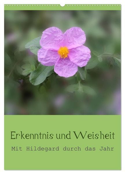 Produktbild: Erkenntnis und Weisheit - Hildegard von Bingen (Wandkalender 2026 DIN A2 hoch), CALVENDO Monatskalender