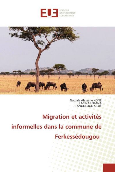Produktbild: Migration et activit&eacute;s informelles dans la commune de Ferkess&eacute;dougou