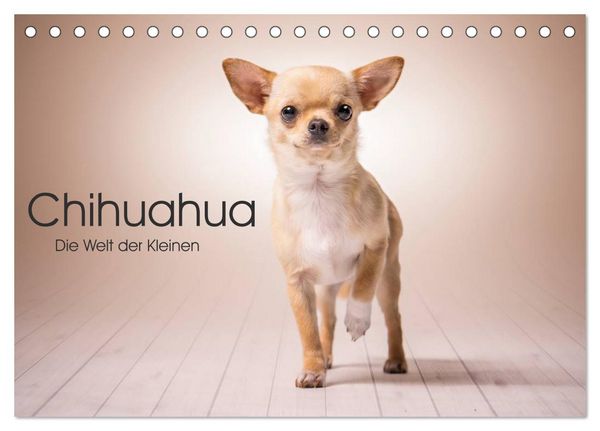 Produktbild: Chihuahua - Die Welt der Kleinen (Tischkalender 2026 DIN A5 quer), CALVENDO Monatskalender