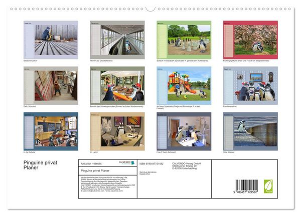 Produktbild: Pinguine privat Planer (hochwertiger Premium Wandkalender 2026 DIN A2 quer), Kunstdruck in Hochglanz