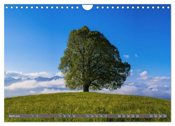 Produktbild: Sch&ouml;ne Wanderungen um Oberstdorf (Wandkalender 2026 DIN A4 quer), CALVENDO Monatskalender