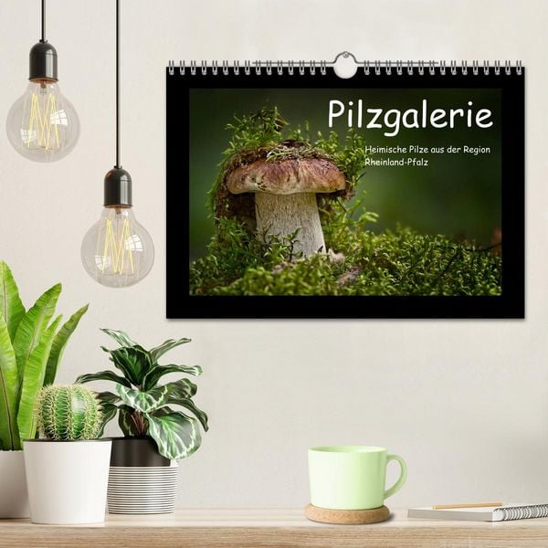 Produktbild: Pilzgalerie - Heimische Pilze aus der Region Rheinland-Pfalz (Wandkalender 2026 DIN A4 quer), CALVENDO Monatskalender