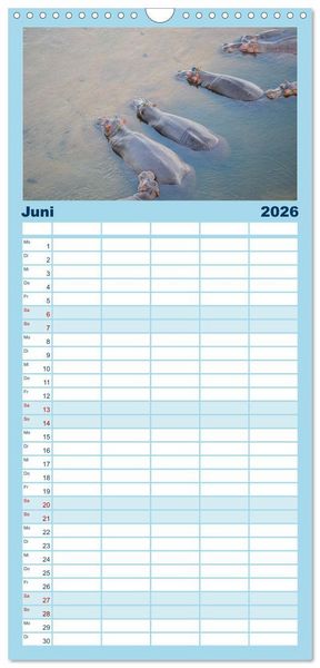 Produktbild: Familienplaner 2026 - Nilpferde, Kolosse in Afrika mit 5 Spalten (Wandkalender, 21 x 45 cm) CALVENDO