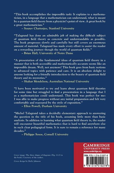 Produktbild: What Is a Quantum Field Theory?