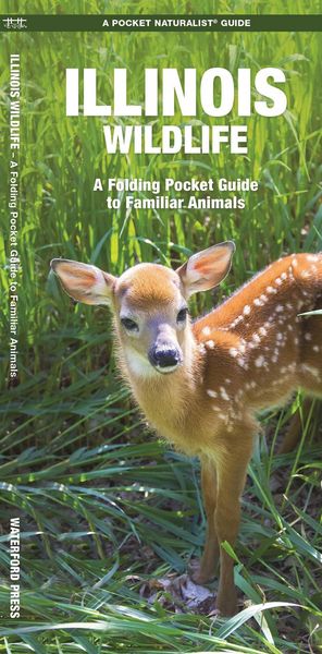 Produktbild: Illinois Wildlife