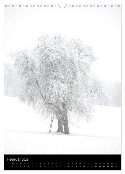 Produktbild: B&auml;ume - Stilles Leben (Wandkalender 2026 DIN A3 hoch), CALVENDO Monatskalender