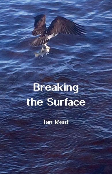 Produktbild: Breaking the Surface