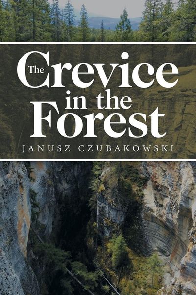 Produktbild: The Crevice in the Forest