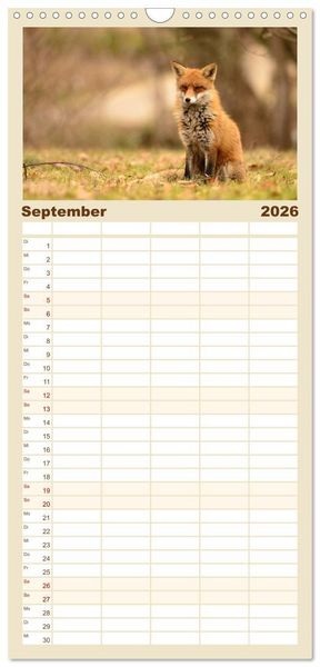 Produktbild: Familienplaner 2026 - Auf den Spuren der Stadtf&uuml;chse mit 5 Spalten (Wandkalender, 21 x 45 cm) CALVENDO