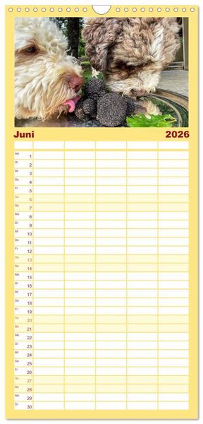 Produktbild: Familienplaner 2026 - Franz&ouml;sische Tr&uuml;ffelwelten mit 5 Spalten (Wandkalender, 21 x 45 cm) CALVENDO