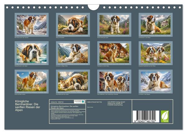 Produktbild: K&ouml;nigliche Bernhardiner. Die sanften Riesen der Alpen (Wandkalender 2026 DIN A4 quer), CALVENDO Monatskalender
