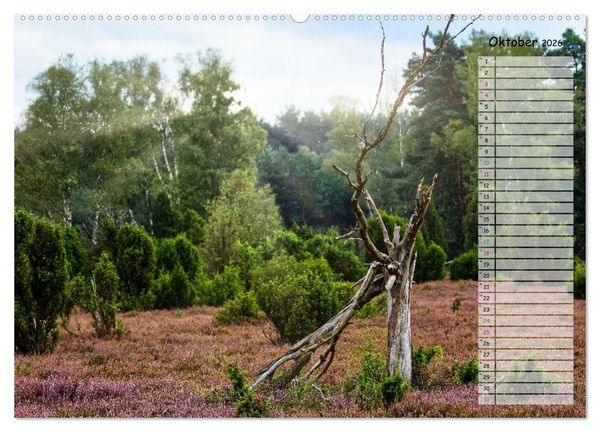 Produktbild: Heidespaziergang (Wandkalender 2026 DIN A2 quer), CALVENDO Monatskalender