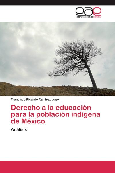 Produktbild: Derecho a la educaci&oacute;n para la poblaci&oacute;n ind&iacute;gena de M&eacute;xico