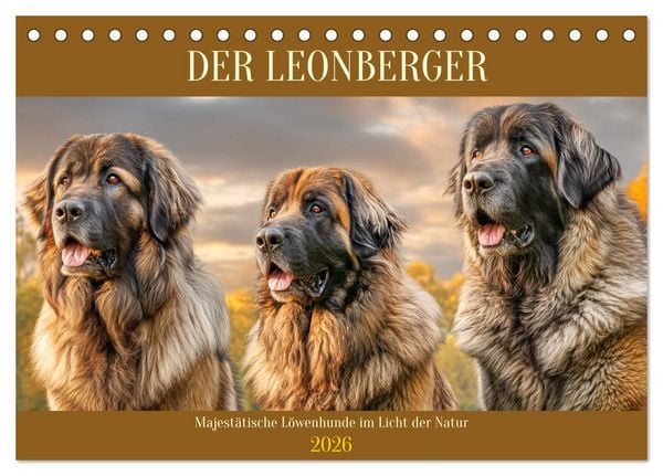 Produktbild: Der Leonberger. Majest&auml;tische L&ouml;wenhunde im Licht der Natur (Tischkalender 2026 DIN A5 quer), CALVENDO Monatskalender